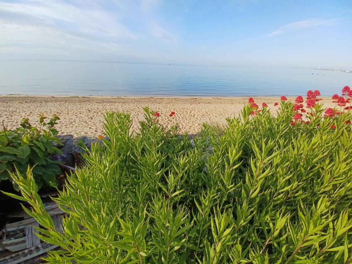 Largo Beach Holiday Home, East Neuk Of Fife, Near St Andrews Lower Largo Ngoại thất bức ảnh